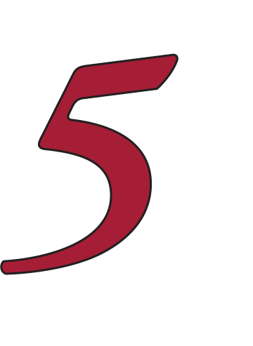 Asset 31@3x